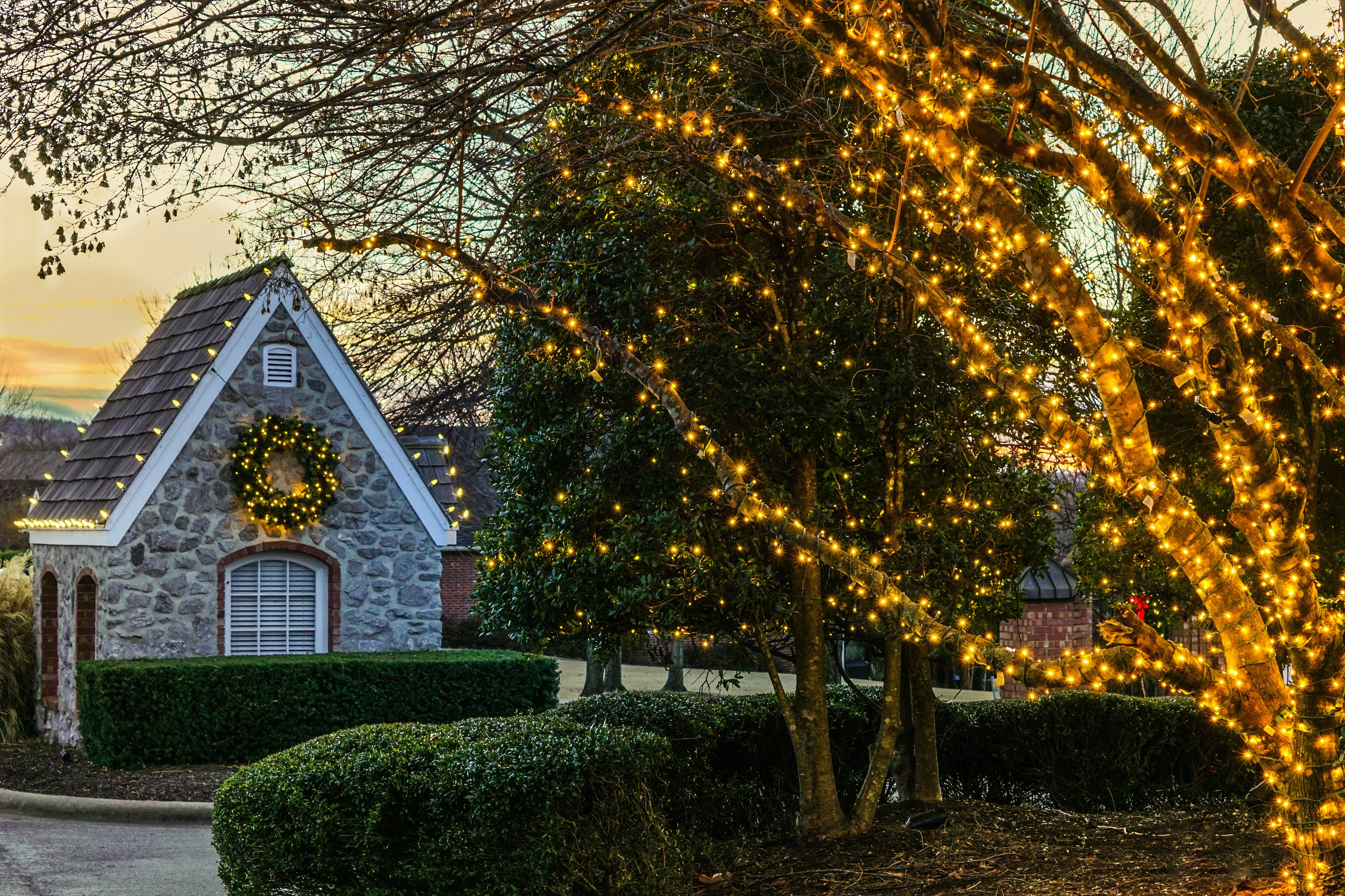 Holiday lighting project by The Lighting Master
